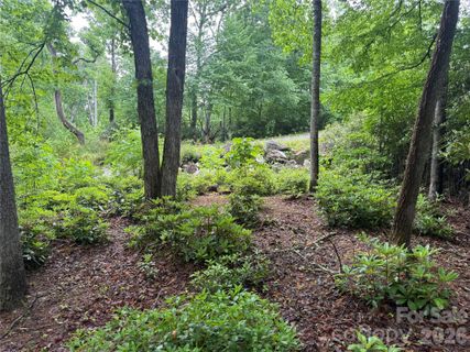 Tbd Dogwood Trail