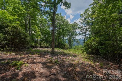 Homes in The Reserve, Pisgah Forest