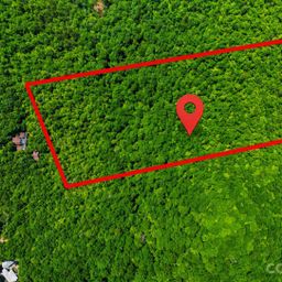 999 Miller Cove Road