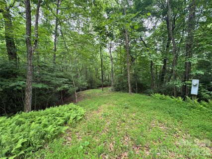 000 Chestnut Oak Lane