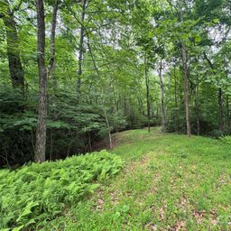 000 Chestnut Oak Lane