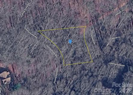 111 Flaming Azalea Road