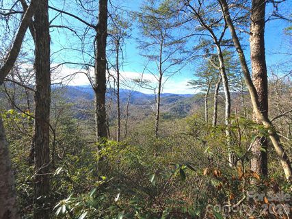 81 Lucerne Drive active home in Mountain Chalet, Canton, NC