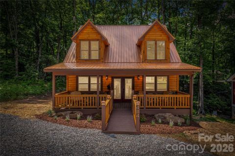 Homes in Twinbrooks Resort, Maggie Valley