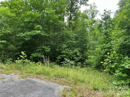 Homes in Silverstone, Hendersonville