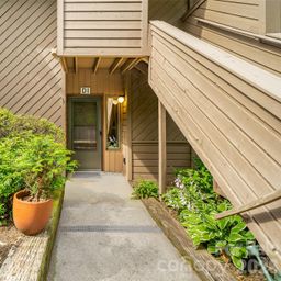 305 Piney Mountain Drive