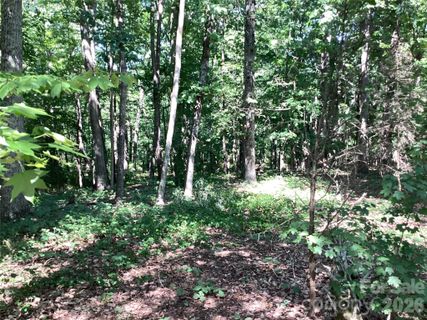 2870 Dunns Mountain Road