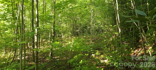 Lot 19 Mill Creek Road
