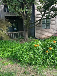 4134 Charlotte Highway