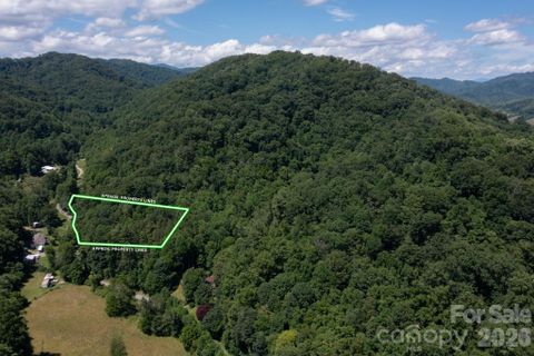 Tbd Wooded Mountain Trail