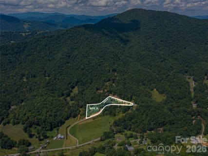 000 Locust Rough Mountain Road active home in Locust Rough Mountain, Burnsville, NC