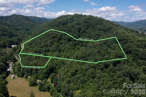 Tbd Wooded Mountain Trail