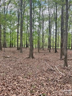 001 Wolf Pond Road
