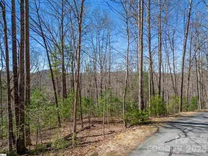 132 Overlook Park Drive