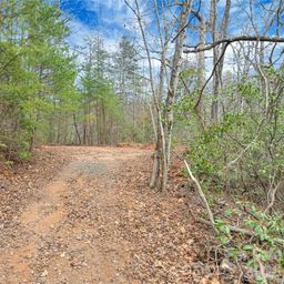 Tbd Deep Woods Lane
