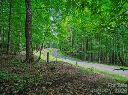 000 Shadow Moss Drive active home in Celo Mountain Lands, Burnsville, NC
