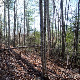 0 Wildwood Mountain Lane