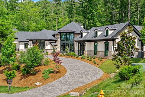 504 Hollow Trail