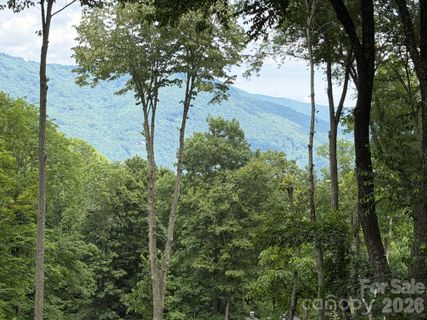 Lot 5 Gadohi Trail active home in Smoky Mountain Retreat At Eagles Nest, Maggie Valley, NC
