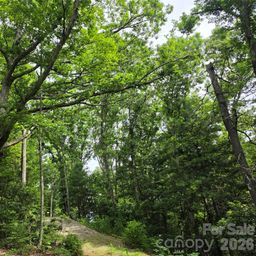 9999 Fairview Forest Drive