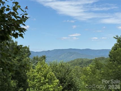 Homes in The Summit, Bostic