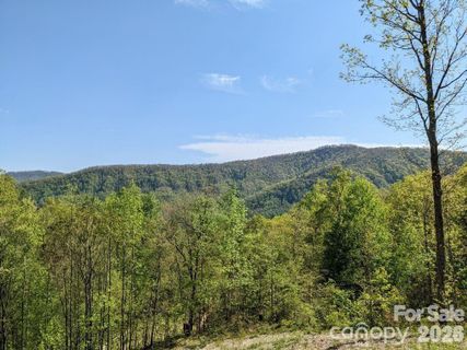351 Kestrel Lane active home in Creston, Black Mountain, NC