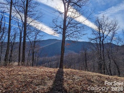 367 Kestrel Lane active home in Creston, Black Mountain, NC