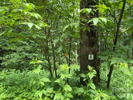 Lot 6 Gadohi Trail active home in Smoky Mountain Retreat At Eagles Nest, Maggie Valley, NC
