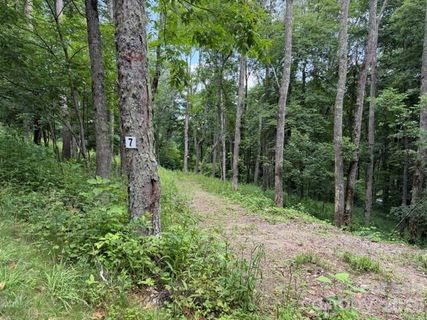 Lot 7 Gadohi Trail active home in Smoky Mountain Retreat At Eagles Nest, Maggie Valley, NC