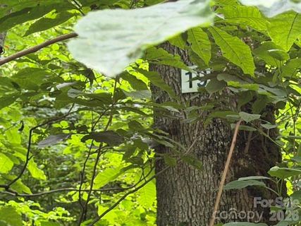 Lot 19 Iga Trail active home in Smoky Mountain Retreat At Eagles Nest, Maggie Valley, NC