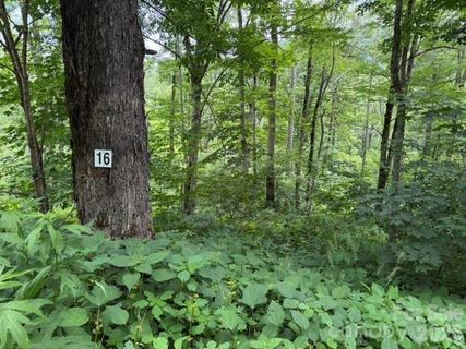 Lot 16 Iga Trail active home in Smoky Mountain Retreat At Eagles Nest, Maggie Valley, NC