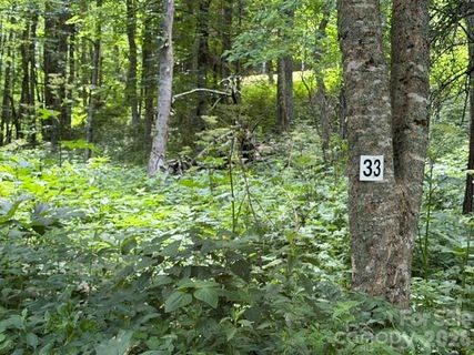 Lot 33 Toi Trail active home in Smoky Mountain Retreat At Eagles Nest, Maggie Valley, NC