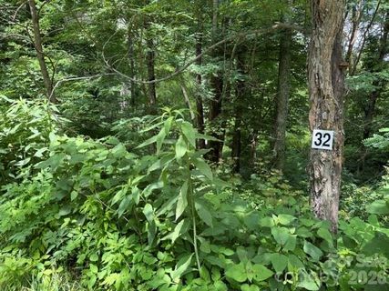 Lot 32 Toi Trail active home in Smoky Mountain Retreat At Eagles Nest, Maggie Valley, NC