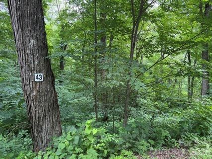 Lot 43 Gata Trail active home in Smoky Mountain Retreat At Eagles Nest, Maggie Valley, NC