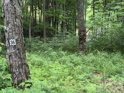 Lot 36 Odalu Trail active home in Smoky Mountain Retreat At Eagles Nest, Maggie Valley, NC