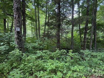 Lot 37 Odalu Trail active home in Smoky Mountain Retreat At Eagles Nest, Maggie Valley, NC