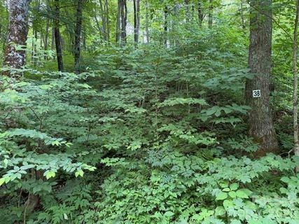 Lot 38 Yanasa Trail active home in Smoky Mountain Retreat At Eagles Nest, Maggie Valley, NC
