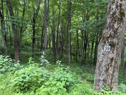 Lot 59 Odalu Trail active home in Smoky Mountain Retreat At Eagles Nest, Maggie Valley, NC