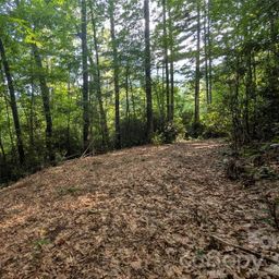 00 Chestnut Walk