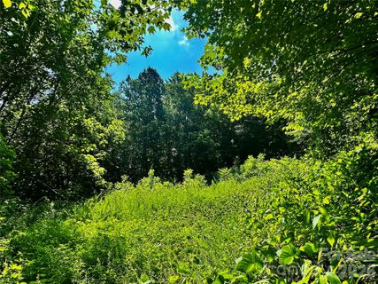75 Fork Creek Road