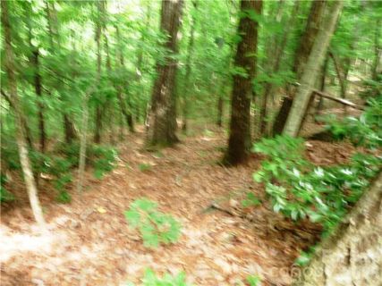 360 Kenmure Drive active home in Kenmure, Flat Rock, NC
