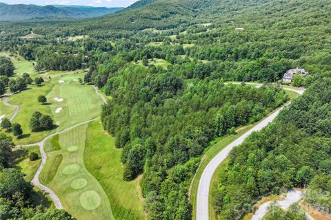 1361 E Deep Gap Farm Road active home in Brights Creek, Mill Spring, NC