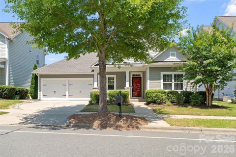 Homes in Bailey Springs, Davidson