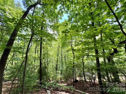 Lot 23 Bear Track Lane
