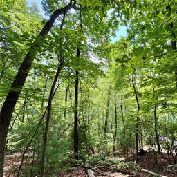 Lot 23 Bear Track Lane