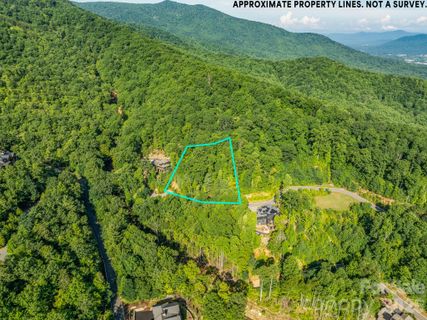 59 Old Greybeard Loop