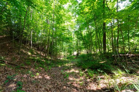 Board Tree Road