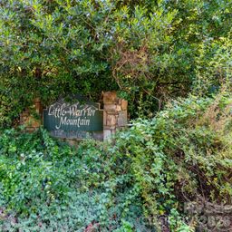 00 Rhododendron Drive