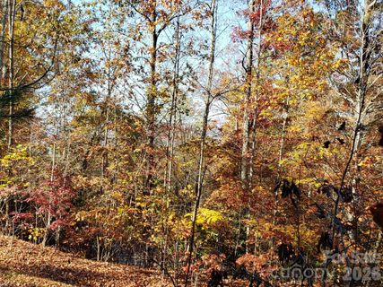 Tbd Top Oaks Lane