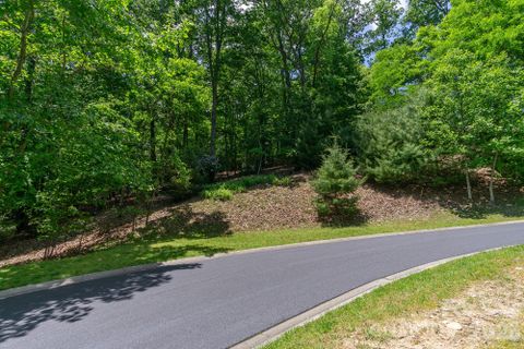 Lot 53r Mills River Way